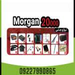 فلزیاب morgan 20000 - Image 2