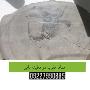 نماد عقرب در دفینه یابی 