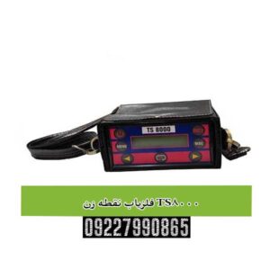 فلزیاب نقطه زن TS8000