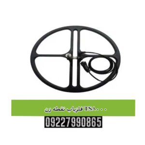 فلزیاب نقطه زن TS8000